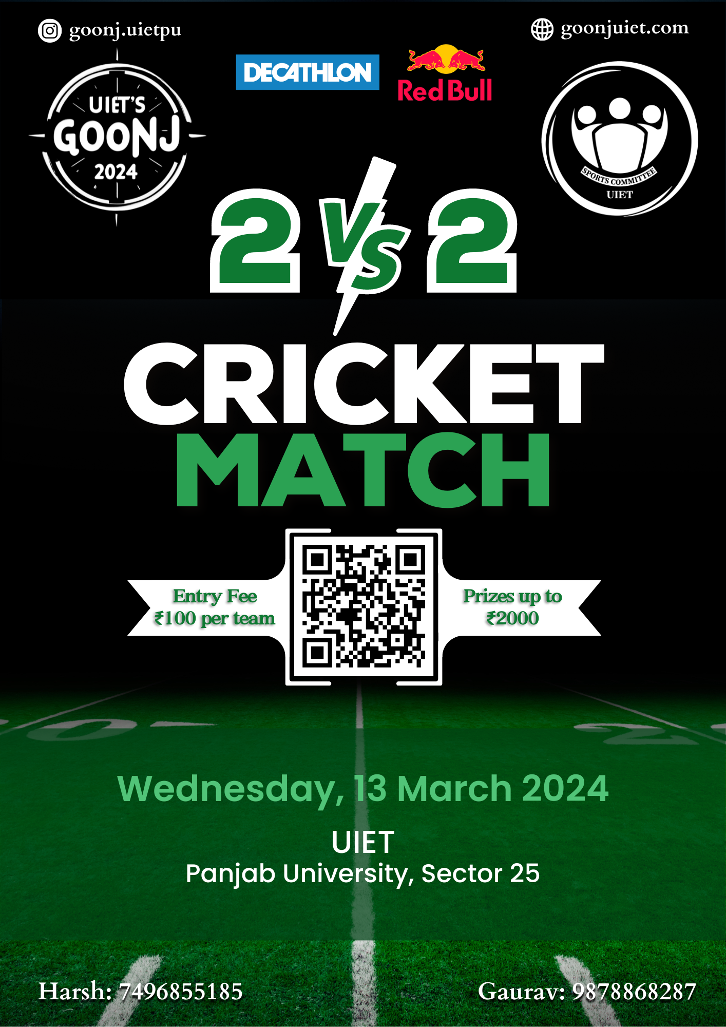 2v2 cricket